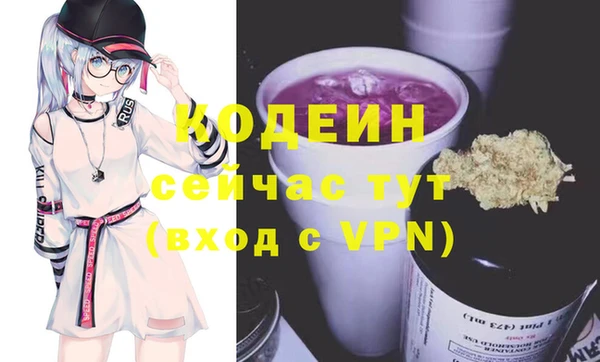 прущий лед Богданович