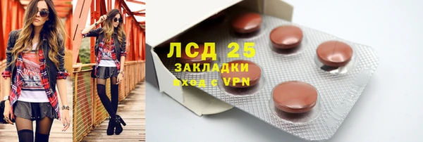 дмт Богородицк