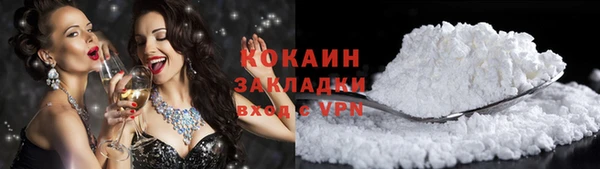 дмт Богородицк