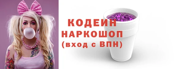 прущий лед Богданович