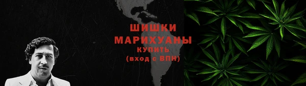 дмт Богородицк