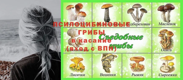 молекула духа Баксан