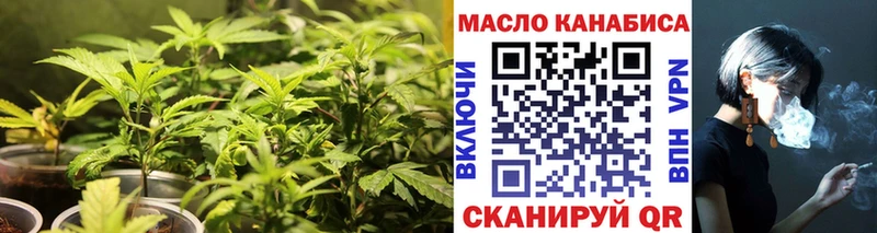 ТГК концентрат  Купить где  Верхняя Салда 