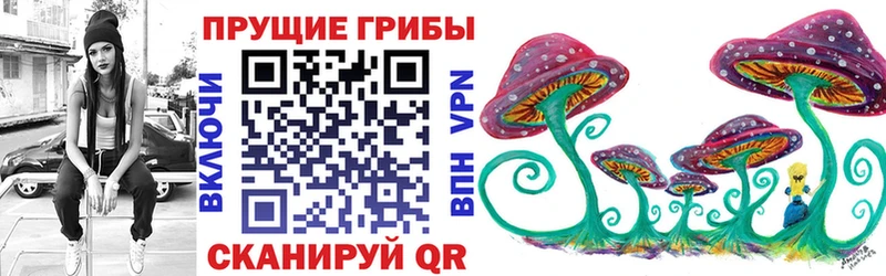 Галлюциногенные грибы GOLDEN TEACHER  Купить где  Верхняя Салда 